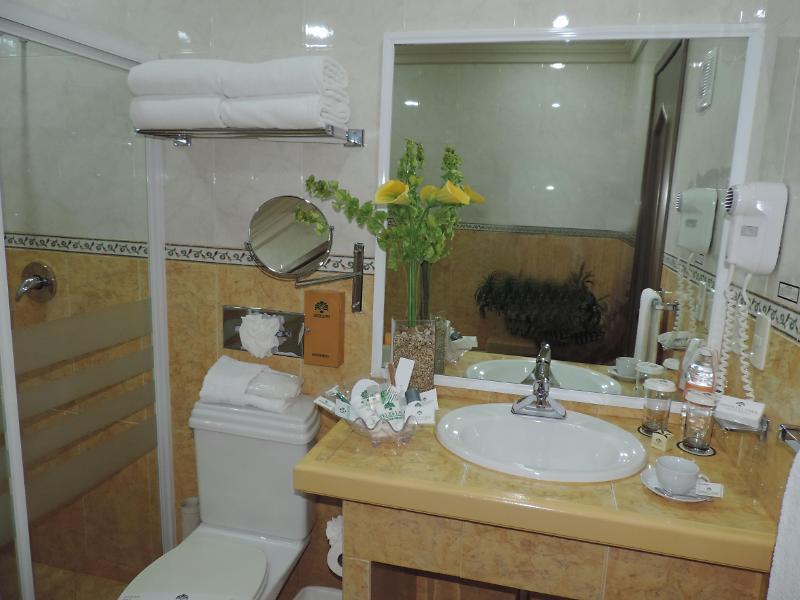 Layfer, Córdoba, Veracruz, México Hotel Córdoba
